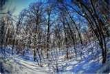 pictures of Fisheye Lens Snow
