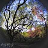 Fisheye Lens User Guide pictures