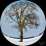 Fisheye Lens Effect Photoshop