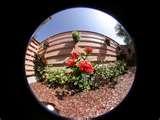 Nikon Fc-e8 Fisheye Lens pictures