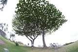 Fisheye Lens Beach photos