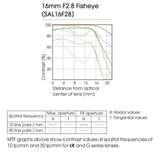 pictures of Fisheye Lenses For Sony
