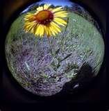 Fisheye Lens Art photos Fisheye Lens Art photos