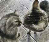 photos of Fisheye Lens Room