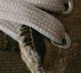 Wide Angle Lenses F28 pictures