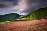 Wide Angle Lenses How To Use photos Wide Angle Lenses How To Use photos