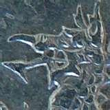 Wide Angle Lens Fz8 photos