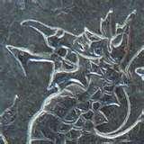 Wide Angle Lens Fz8 images