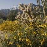 images of Using Ultra Wide Angle Lenses