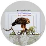 pictures of Wide Angle Lenses Crop Factor