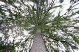 Canon 30d Wide Angle Lens