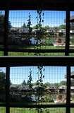 pictures of Wide Angle Lens Digital pictures of Wide Angle Lens Digital