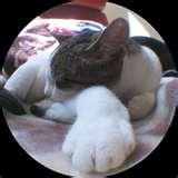 Wide Angle Lens Tips Photography pictures