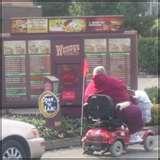 Close Up Animals With A Wide Angle Lens Wearing Hats images