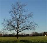 Wide Angle Lens Measurement pictures