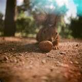 photos of Wide Angle Lenses Get