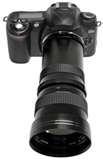 Telephoto Lens What To Look For