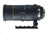 Telephoto Lens 50-500 pictures