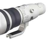 Canon Ef Telephoto Lens 800mm images Canon Ef Telephoto Lens 800mm images