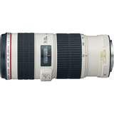 Telephoto Lens System pictures