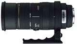 Telephoto Lens Sigma 50-500 pictures