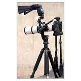 photos of Telephoto Lenses How