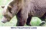 Canon G10 Telephoto Lens photos