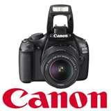 Canon 5d Telephoto Lens photos