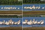 Telephoto Lens Length images