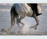 Telephoto Lenses History