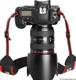 Telephoto Lens Extenders pictures