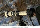 pictures of Telephoto Lens Slr Camera