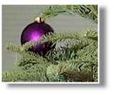 pictures of Camcorder Lens On A Dslr