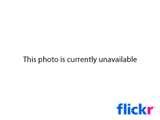 Diy Fisheye Lens Camcorder photos