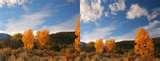 Using Telephoto Lens Camcorder pictures