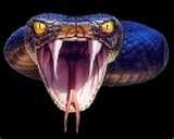 Camcorder Lens Wiki images