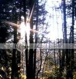 Camcorder Lens Filters images